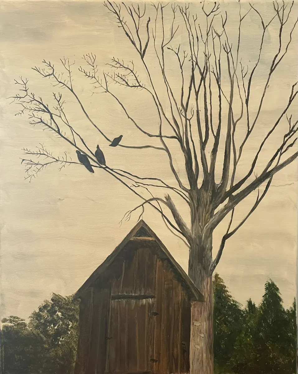 Three dark buzzards perched in a bare tree above a weathered wooden barn