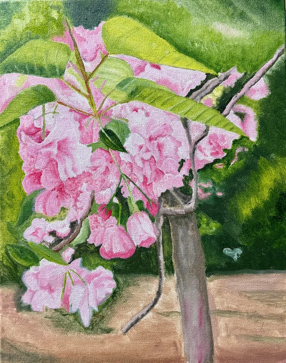 Pink cherry blossoms clustered around a slim trunk against dense green foliage