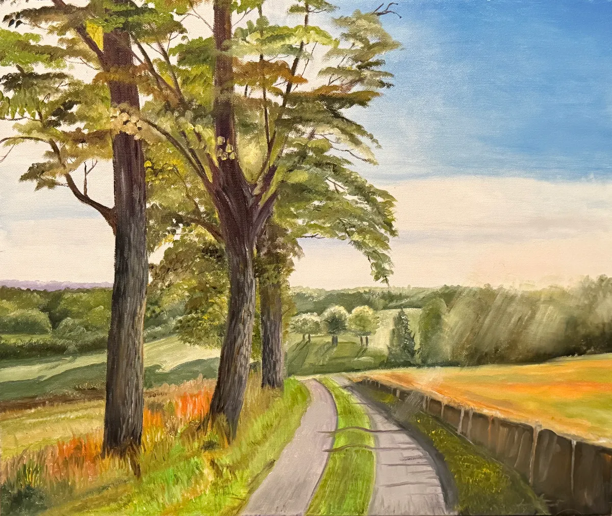 Tall trees beside a narrow country lane winding through sunlit fields