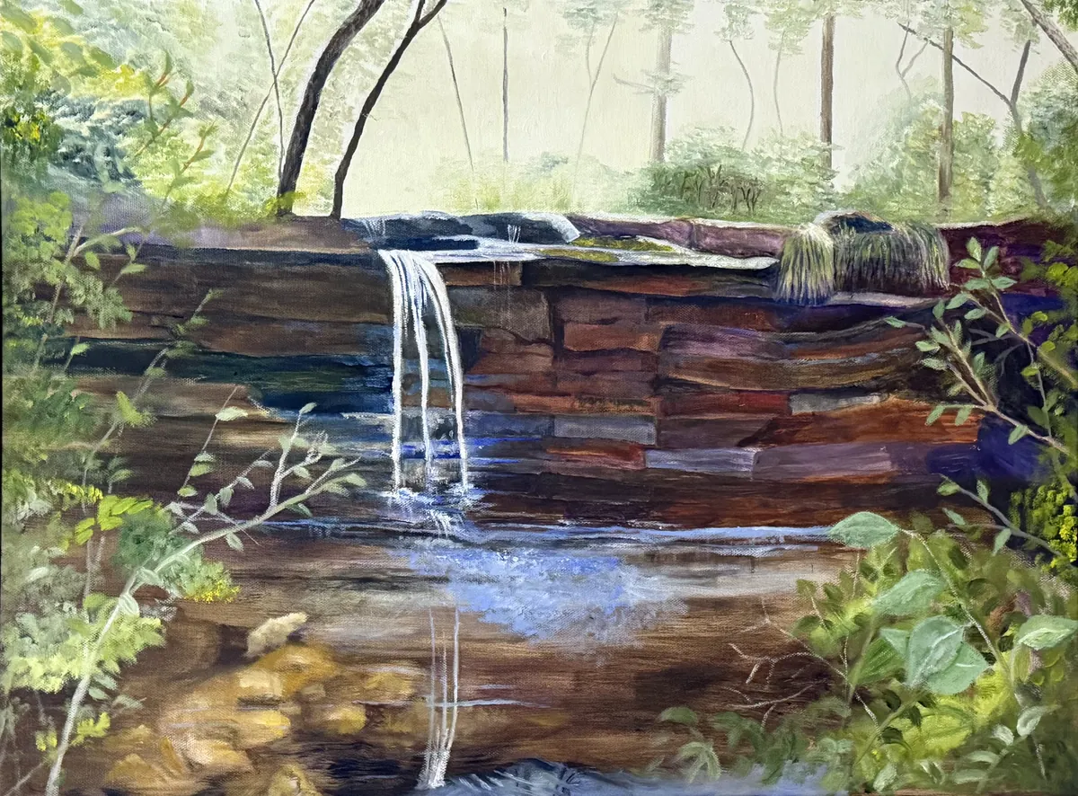 Small waterfall spilling over layered red rock beneath a leafy woodland canopy