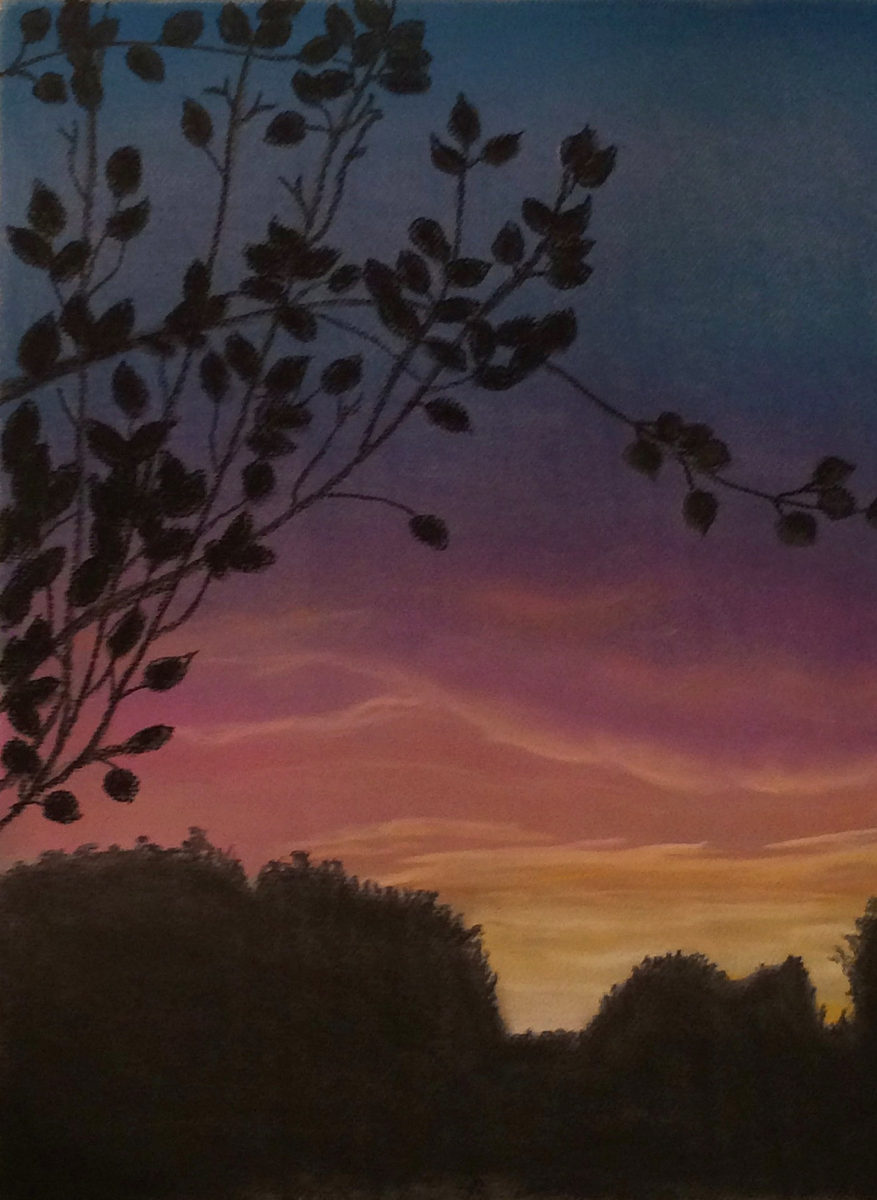 Silhouetted birch branches against layered blue, violet, pink, and gold sunset skies