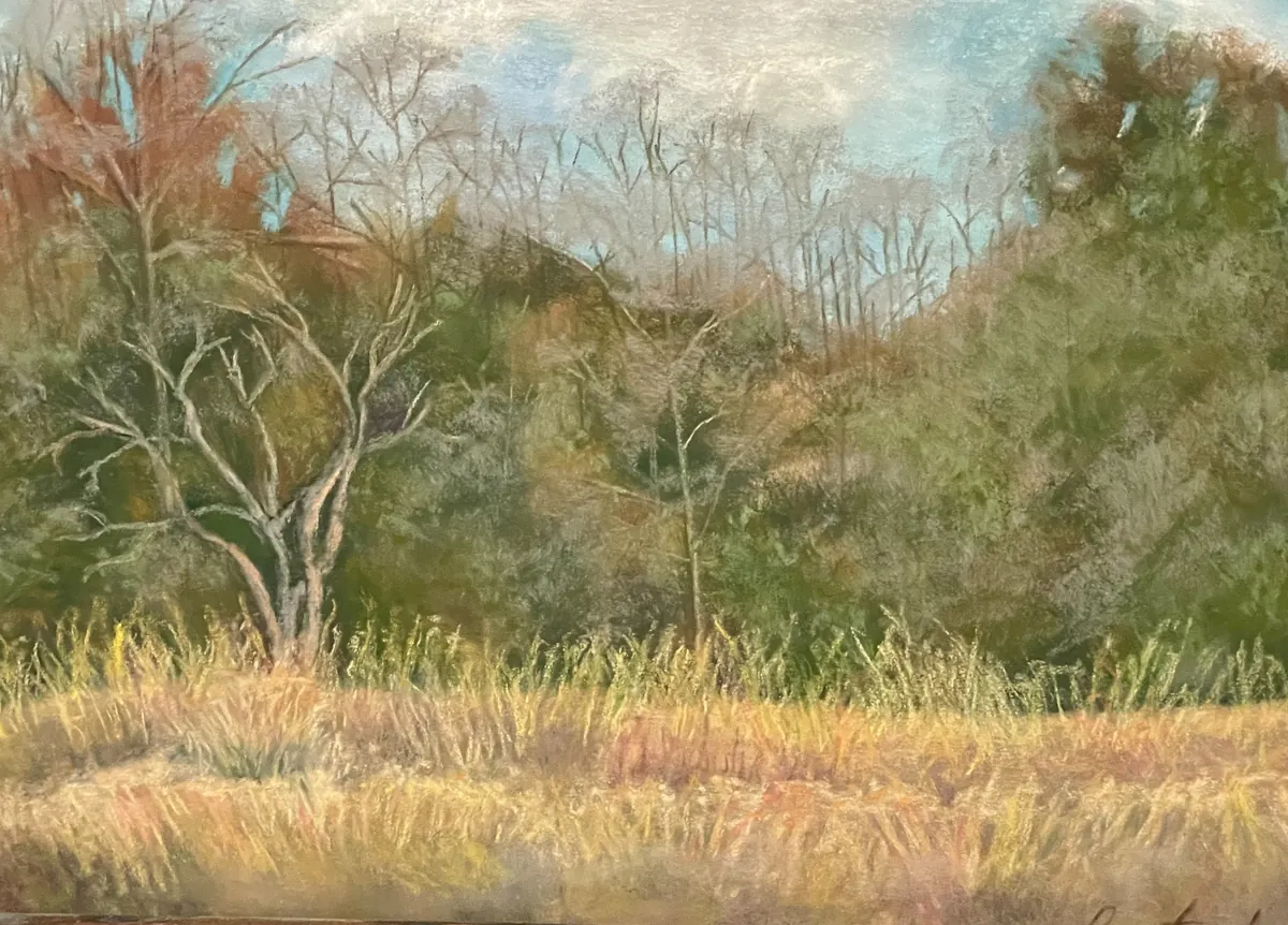 Golden field before a dense autumn tree line beneath a soft blue sky
