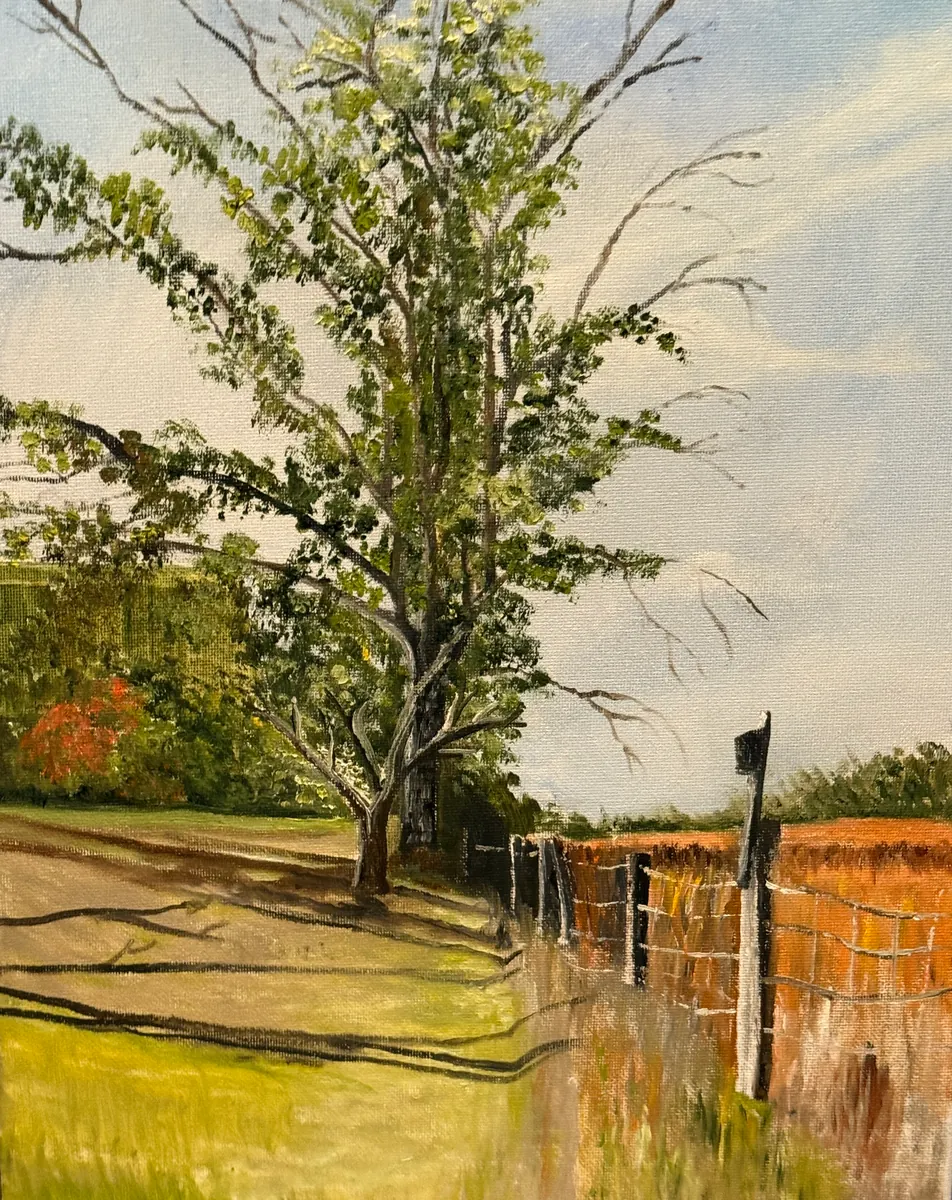 Large leafy tree beside a fence and rust-colored field under a pale sky