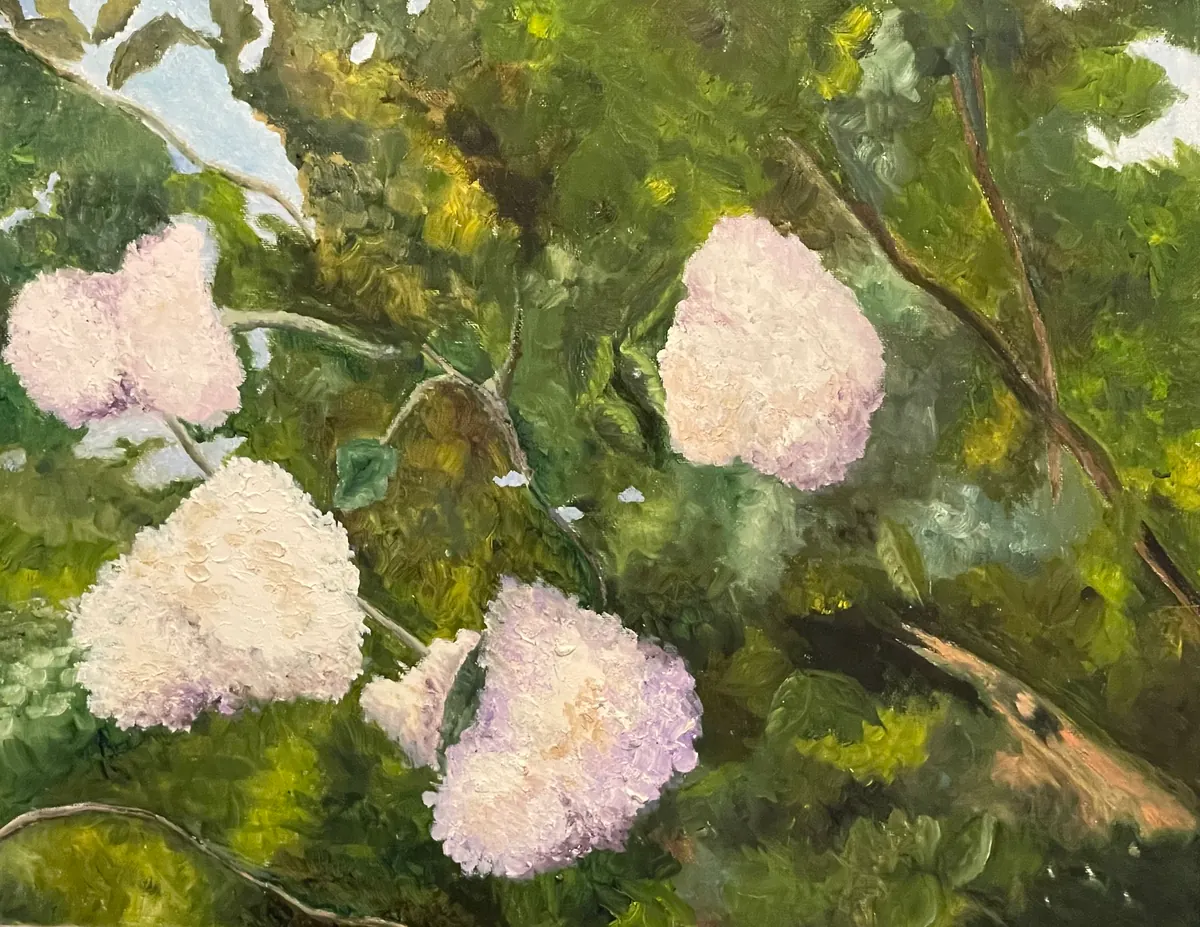 Soft pink crepe myrtle flower clusters glowing among dense green leaves