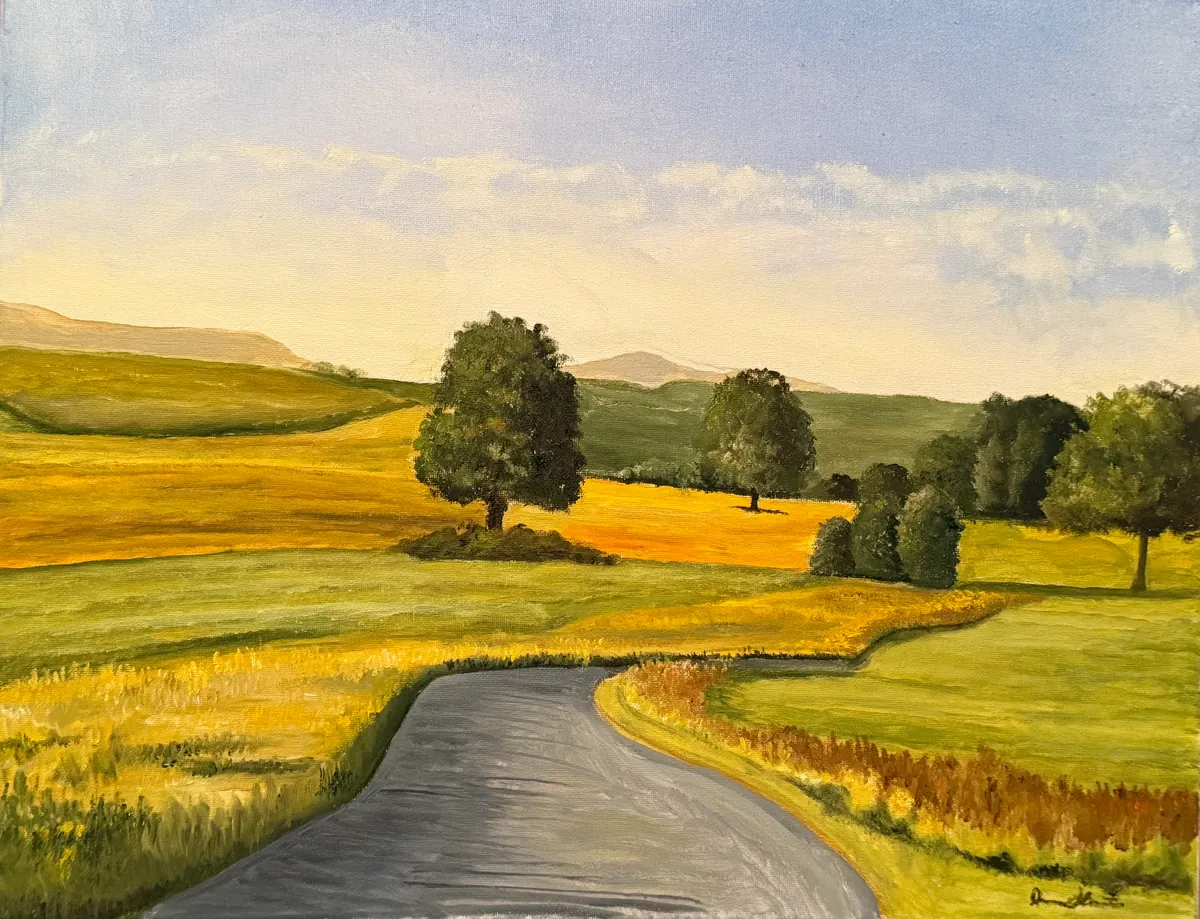 Gray road curving through rolling yellow-green fields dotted with dark trees