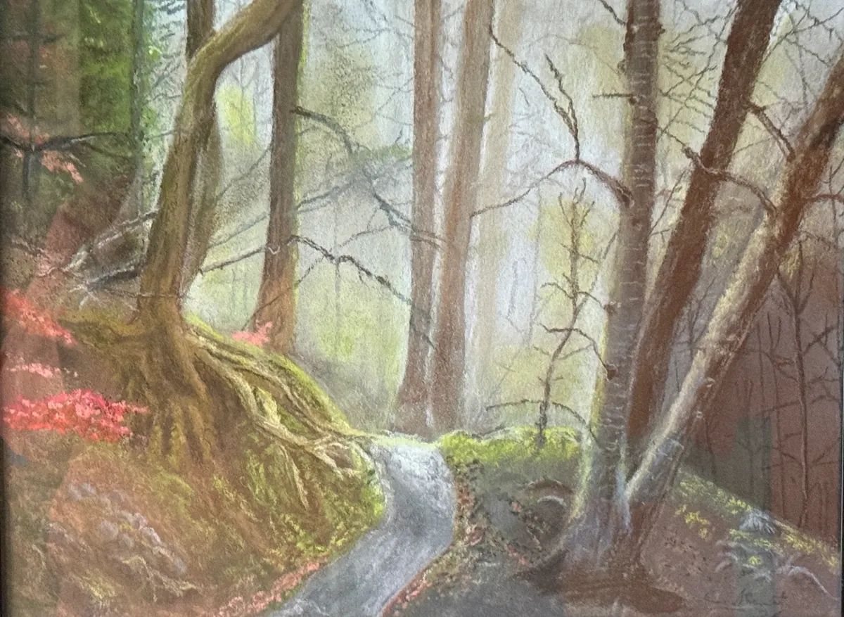 Narrow path curving past exposed roots through a softly misted woodland