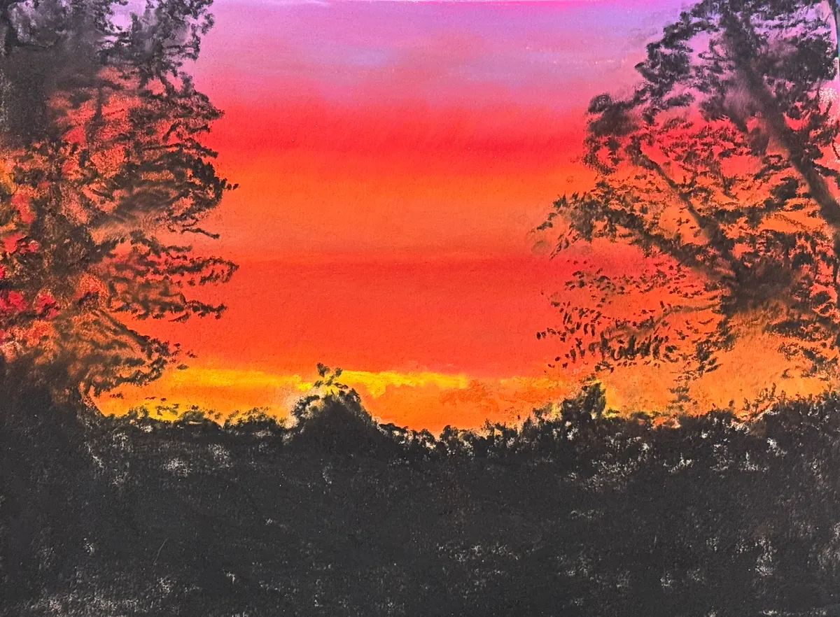 Vivid red-orange sunset framed by black silhouettes of trees and brush