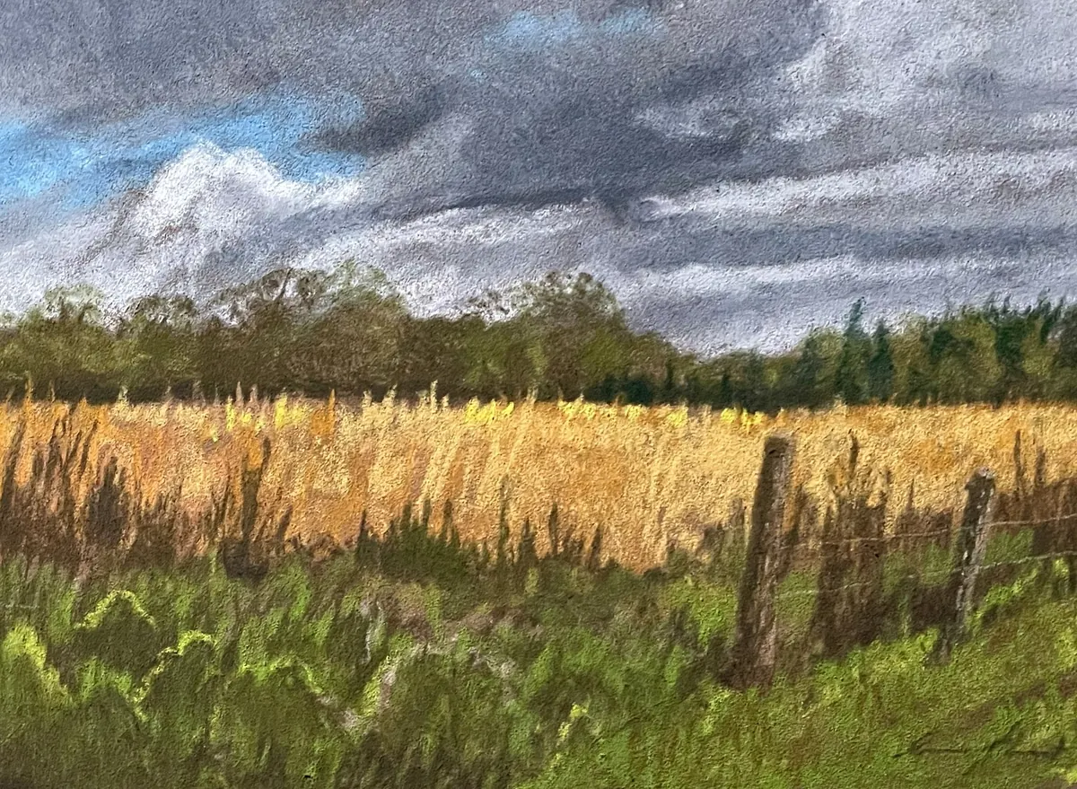 Layered gray storm clouds above a golden rural field, dark tree line, and weathered fence posts