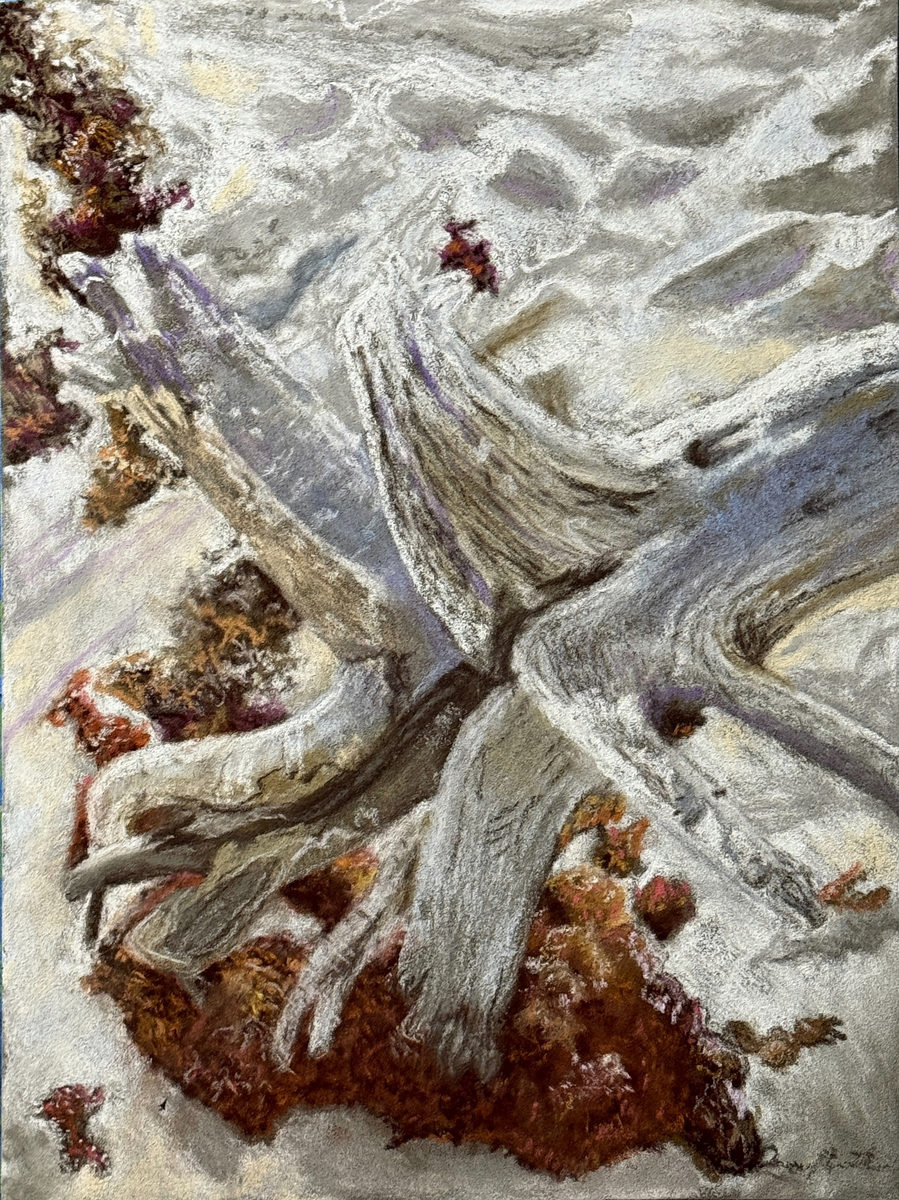 Weathered driftwood lying across pale beach sand with scattered shells and seaweed