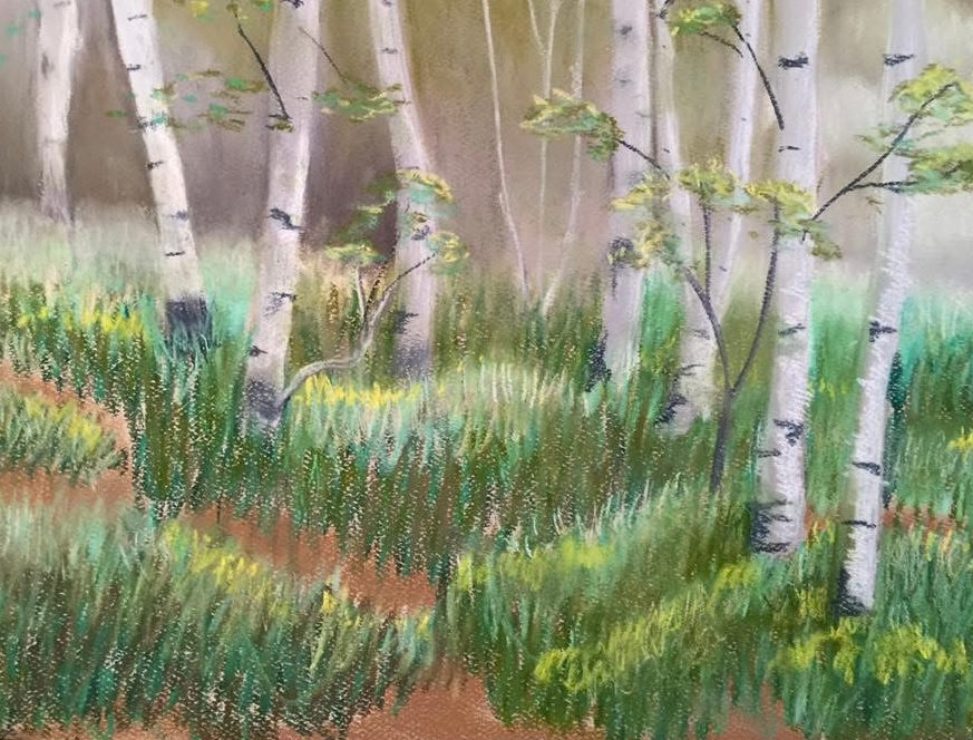 Narrow rust-colored path winding through pale aspens and tall green woodland grasses