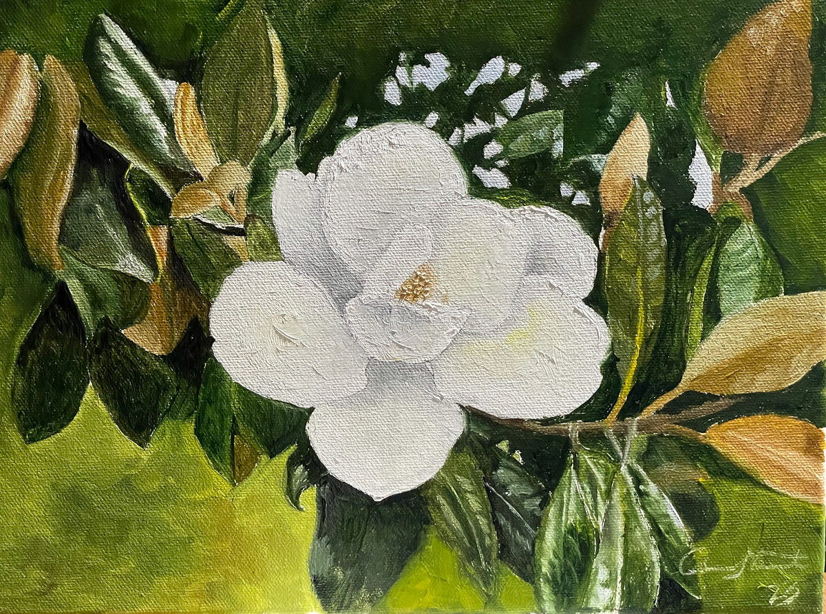 Large white magnolia blossom surrounded by glossy green and golden leaves