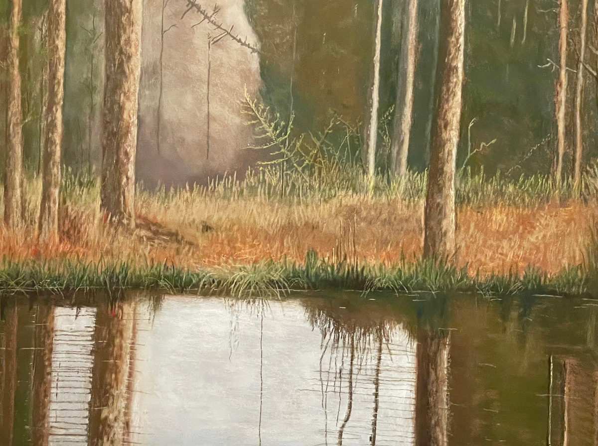 Tall woodland trees and warm grasses reflected in a quiet pond beneath a shaft of light